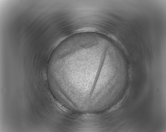 X0000066950929200604142045