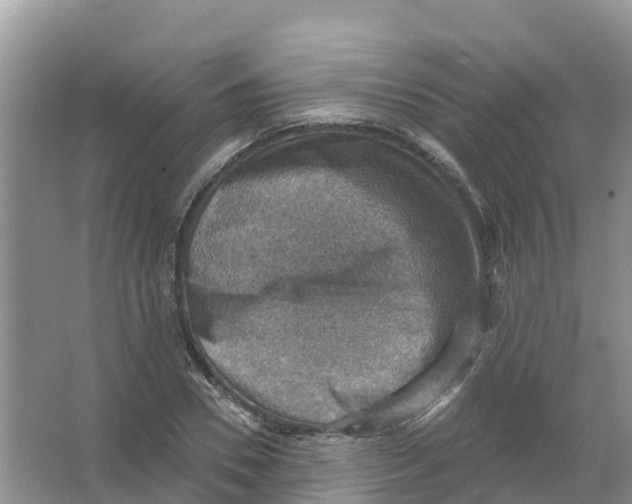 X0000066950930200604142045