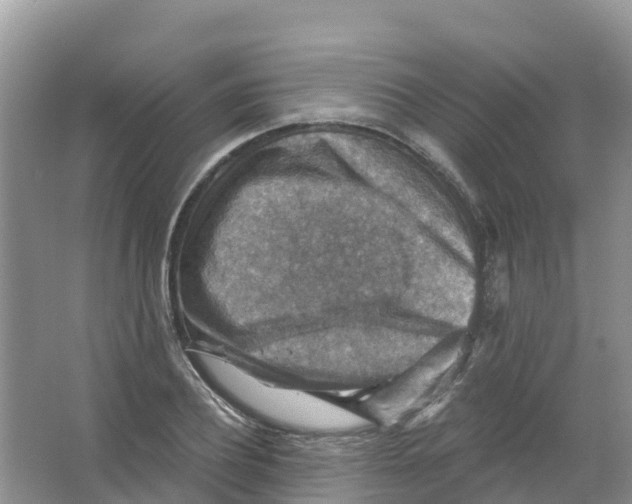 X0000066950932200604142045