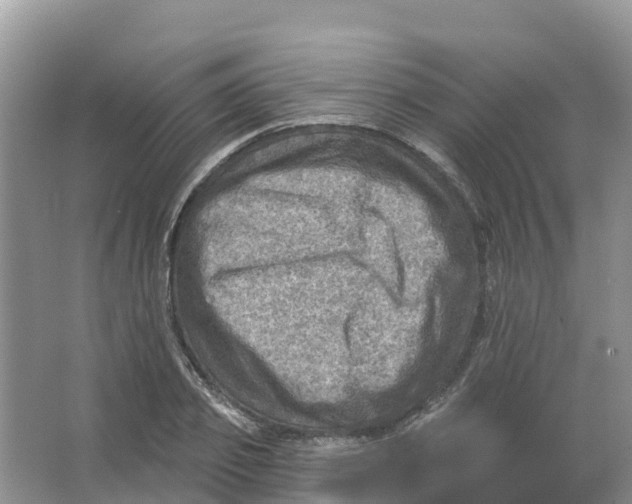 X0000066950933200604142045