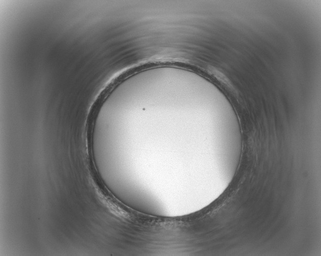 X0000066950934200604142045