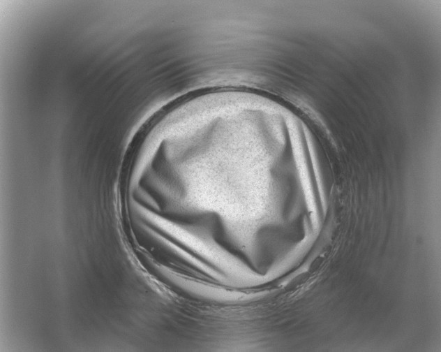 X0000066950936200604142046