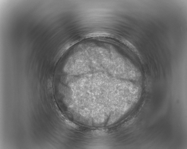 X0000066950937200604142046