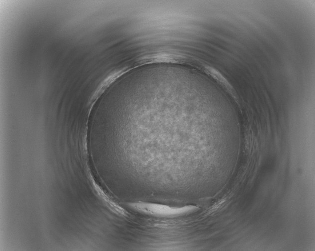 X0000066950938200604142046