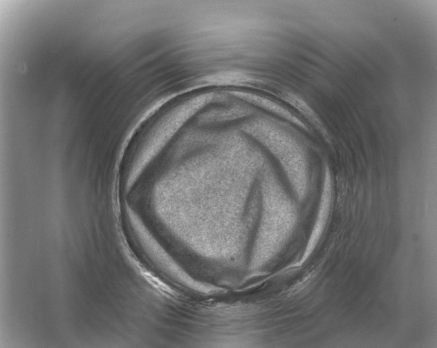 X0000066950939200604142046