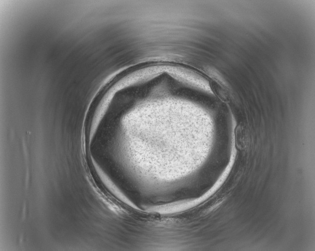 X0000066950940200604142046