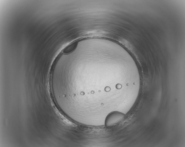 X0000066950941200604142046