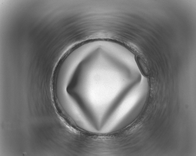 X0000066950942200604142046