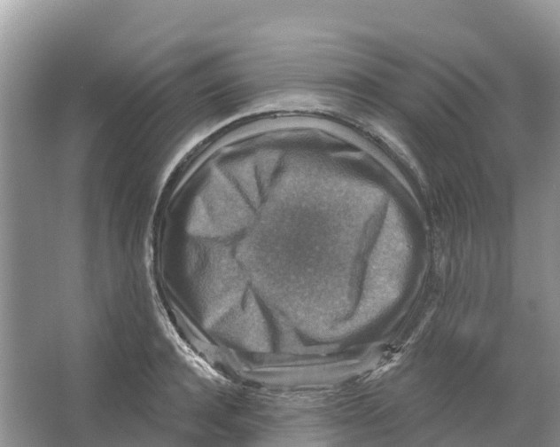 X0000066950944200604142046