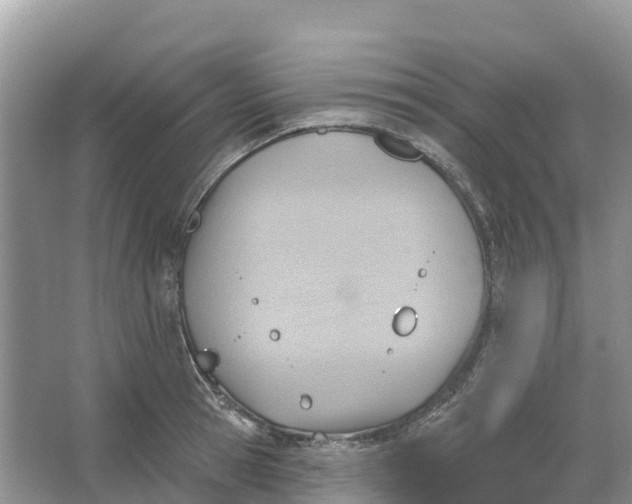 X0000066950945200604142046