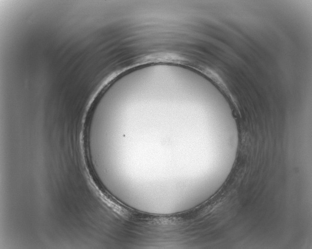 X0000066950947200604142046