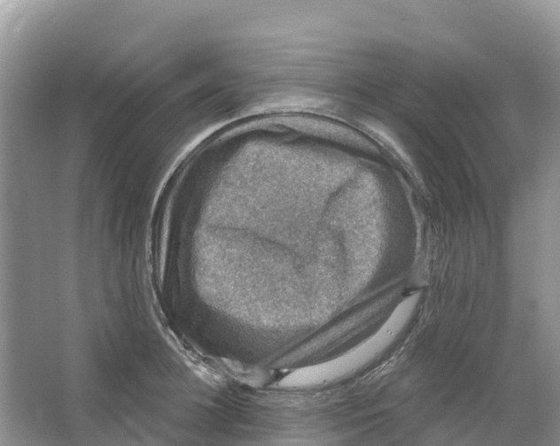 X0000066950948200604142046