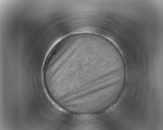 X0000066950949200604142046