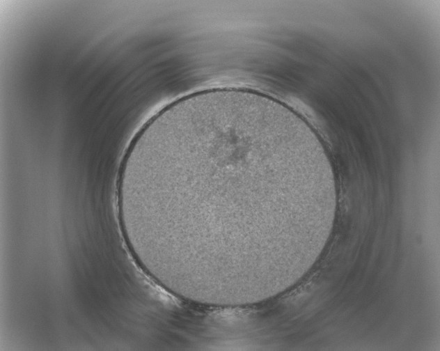 X0000066950950200604142046