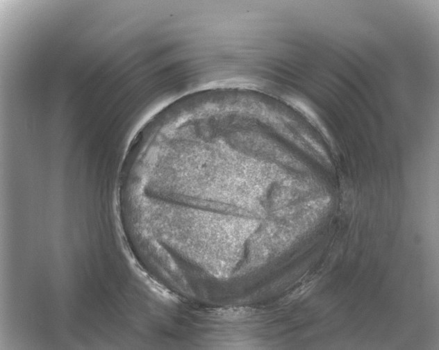 X0000066950952200604142046