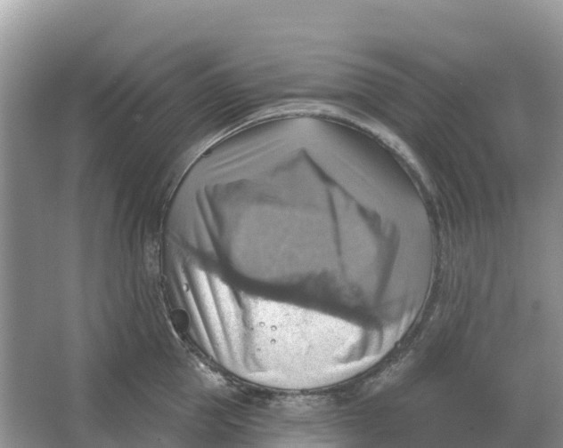 X0000066950953200604142046