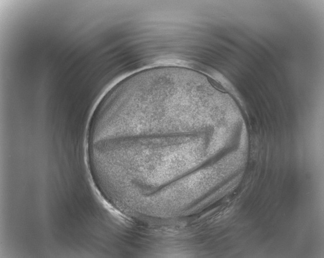 X0000066950955200604142046