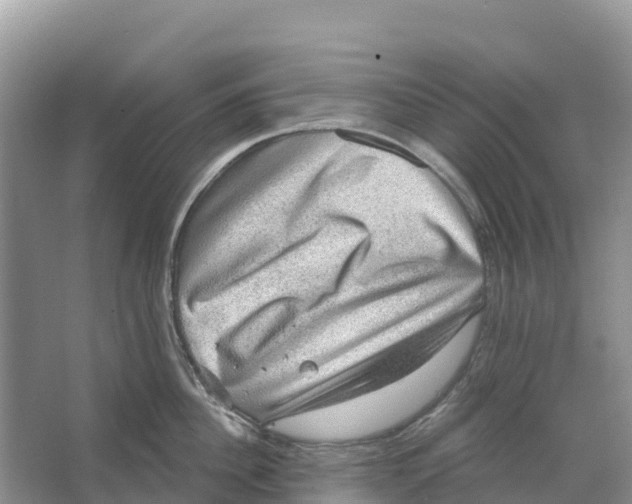 X0000066950956200604142046