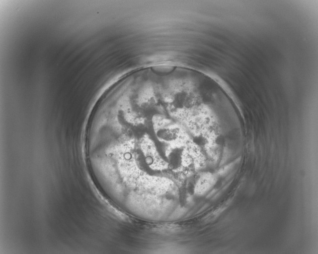 X0000066950957200604142046