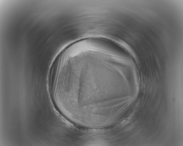 X0000066950958200604142046