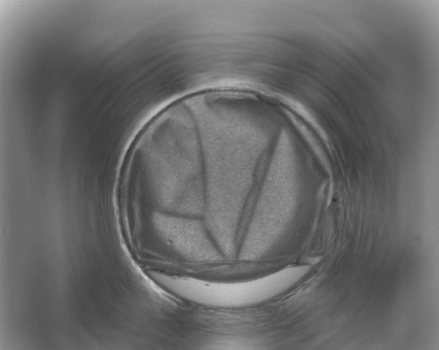 X0000066950959200604142046