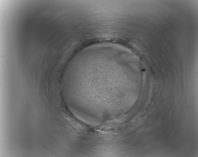 X0000066950961200604142045