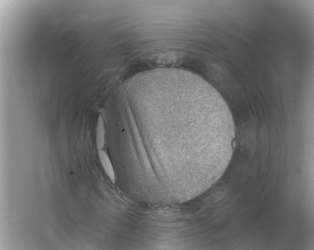 X0000066950962200604142045