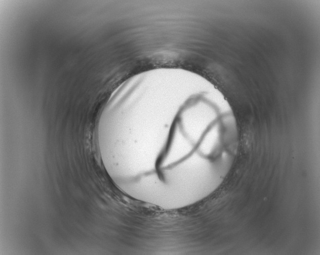 X0000066950964200604142045