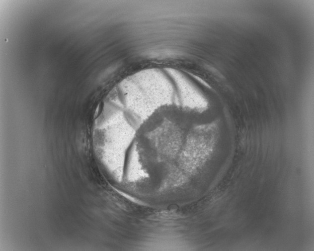 X0000066950966200604142045