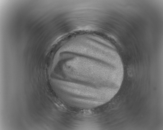 X0000066950968200604142045