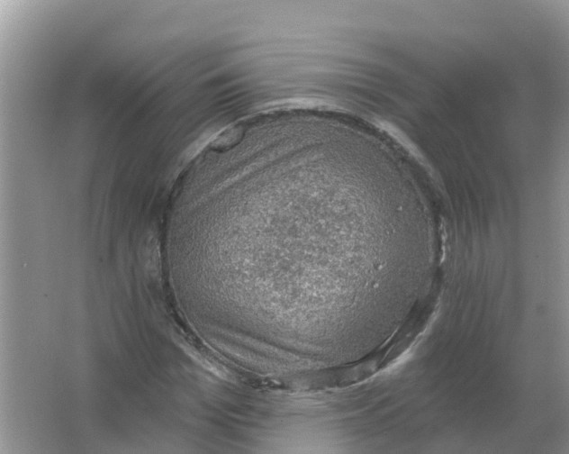 X0000066950969200604142045