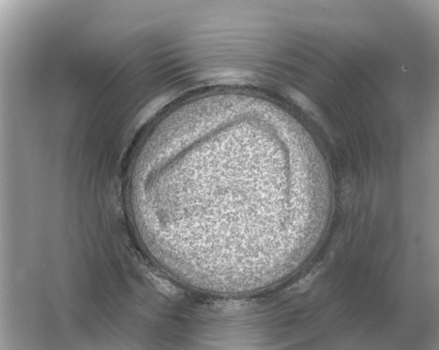 X0000066950970200604142045