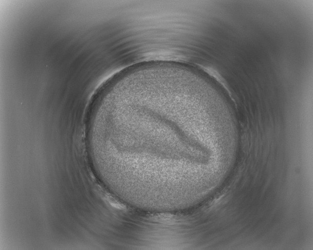 X0000066950971200604142045