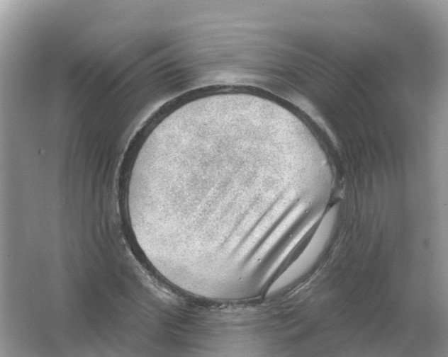 X0000066950972200604142045