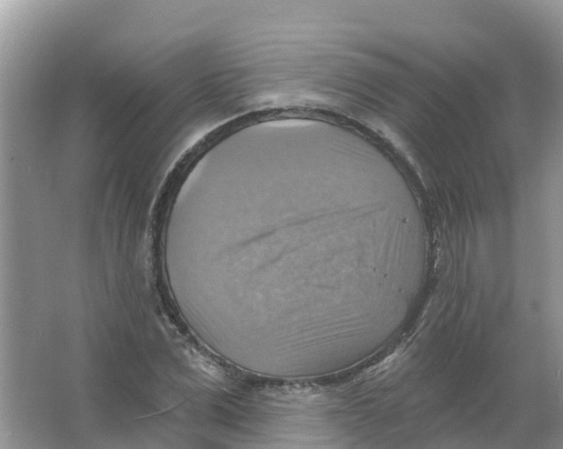 X0000066950975200604142045