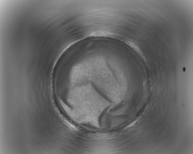 X0000066950976200604142045