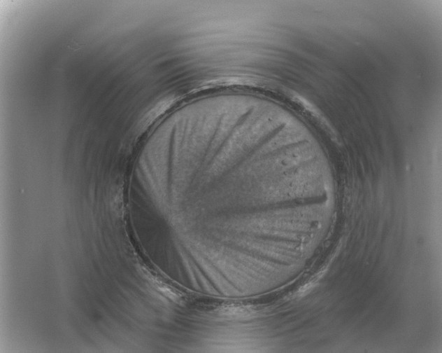 X0000066950977200604142045