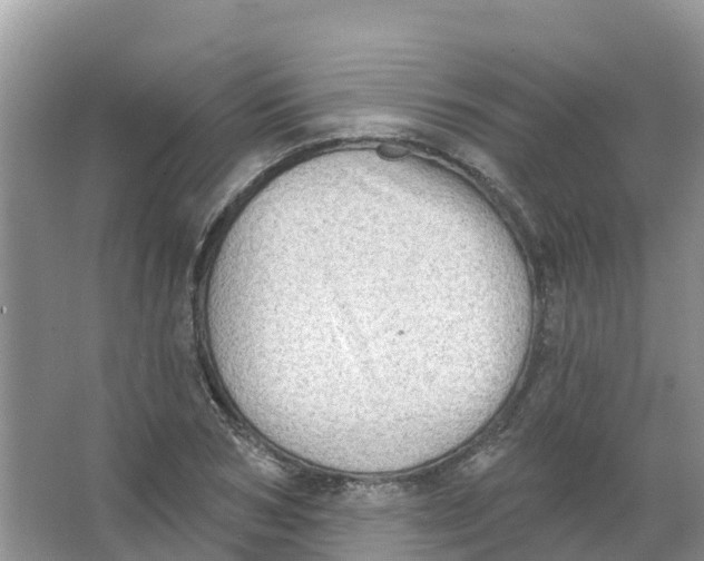 X0000066950978200604142045