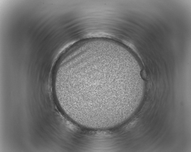 X0000066950979200604142045