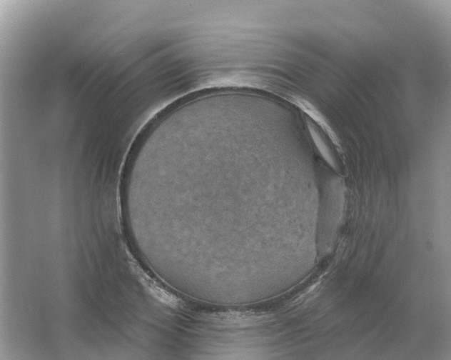 X0000066950980200604142045