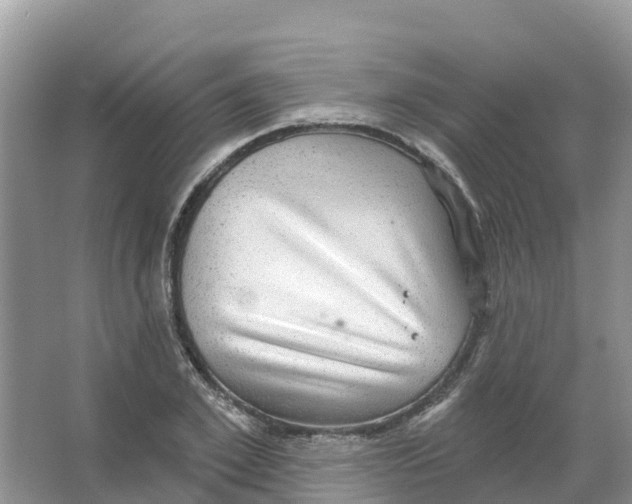 X0000066950981200604142045