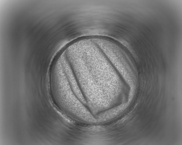 X0000066950982200604142045