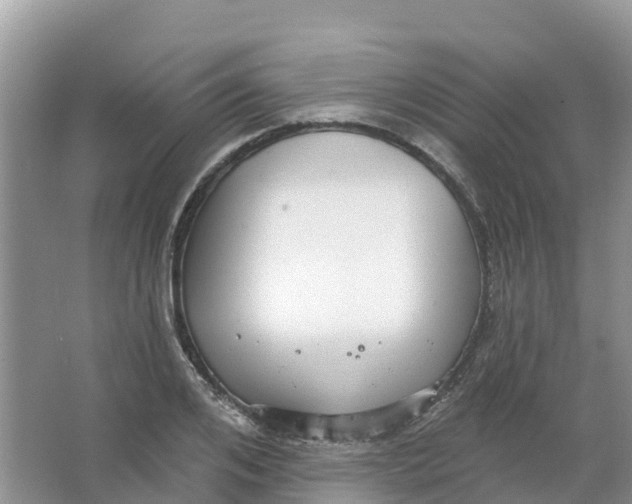 X0000066950984200604142045