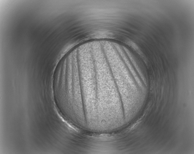 X0000066950986200604142045