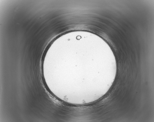 X0000066950988200604142045