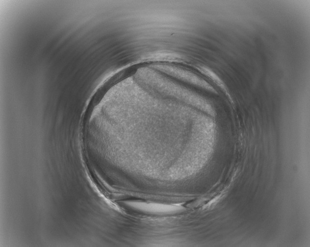 X0000066950989200604142045