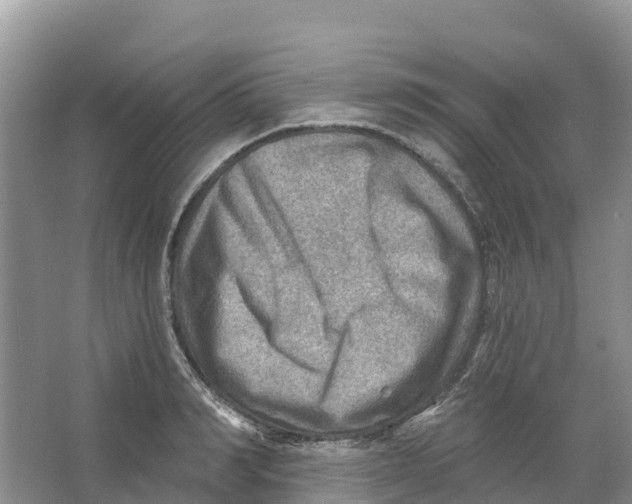 X0000066950990200604142045