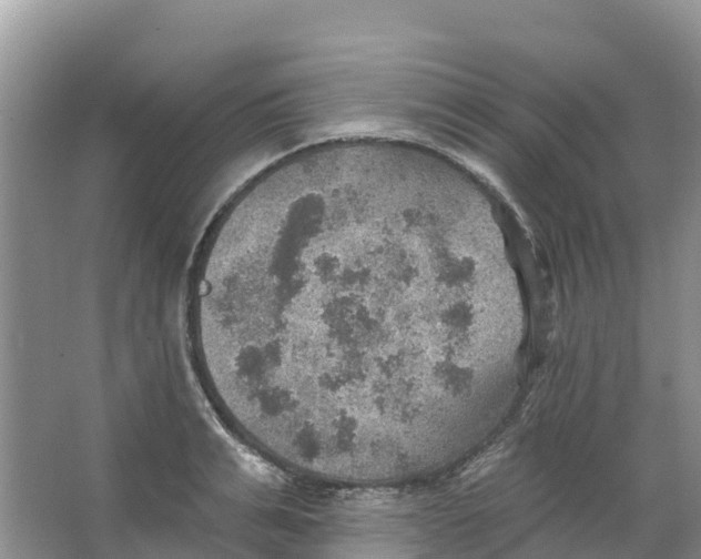 X0000066950991200604142045