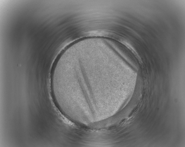 X0000066950992200604142045