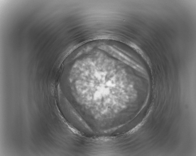 X0000066950993200604142045